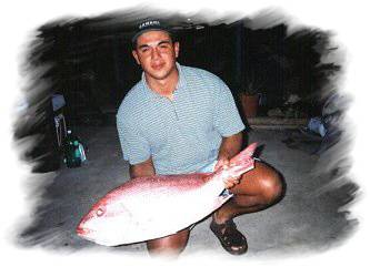 Nice catch...!! 