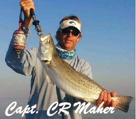 Fish Galveston Bay